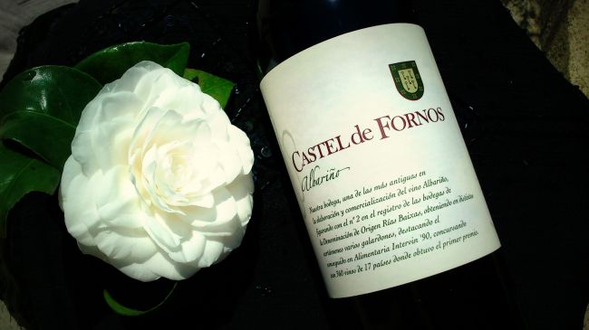 castel de fornos_albario.jpg